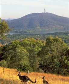 Canberra Centenary Trail - Tourism Townsville 0