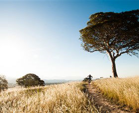Canberra Centenary Trail - Tourism Townsville 1