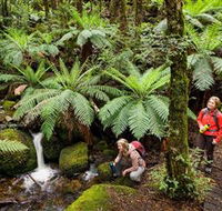 Baw Baw National Park - Tourism Townsville