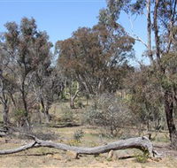 Remembrance Nature Park - Tourism Townsville
