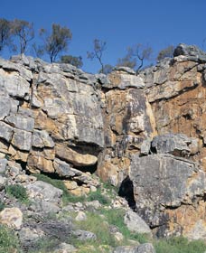 Watheroo National Park - Tourism Townsville 0