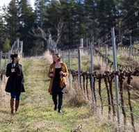 Mount Majura Vineyard - Tourism Townsville