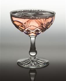 Polit Bar - More Than Cocktails - Tourism Townsville 2