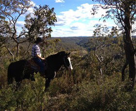 Chapman Valley Horse Riding - Tourism Townsville 2