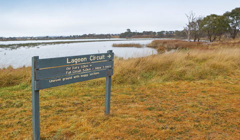 Lagoon Circuit Walking Track - Tourism Townsville 0