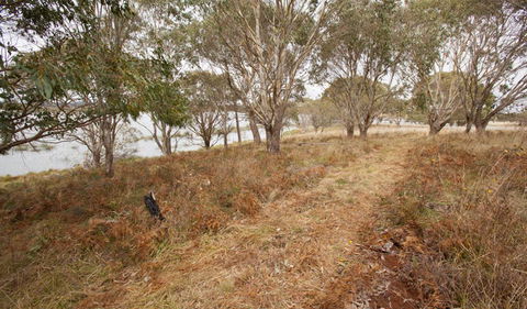Lagoon Circuit Walking Track - Tourism Townsville 1