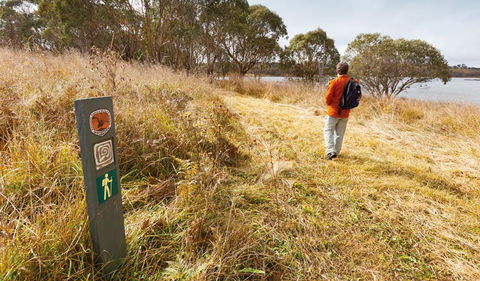 Lagoon Circuit Walking Track - Tourism Townsville 2