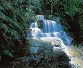 Leura NSW Tourism Townsville