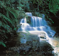 Leura Cascades - Tourism Townsville