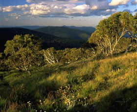 Namadgi National Park And Visitors Centre - Tourism Townsville 2
