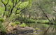 Koreelah National Park - thumb 1