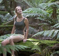 Barrington Tops National Park - Honeysuckle Forest Track - Tourism Townsville