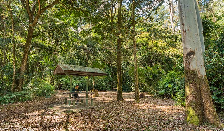Upper Tooloom ACT Tourism Townsville