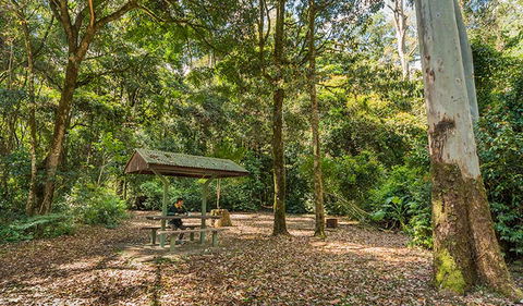 Tooloom National Park - Tourism Townsville 0