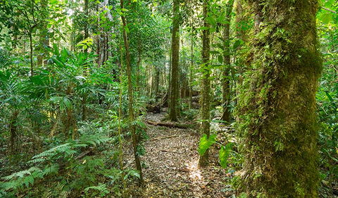 Tooloom National Park - Tourism Townsville 2
