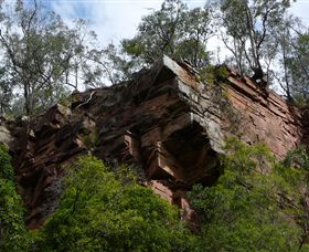 Mitchell River Walking Track - Tourism Townsville 2