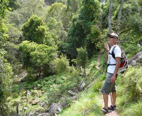 Mitchell River Walking Track - Tourism Townsville 1