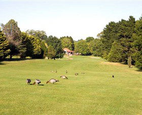 Moss Vale Golf Club - Tourism Townsville 2