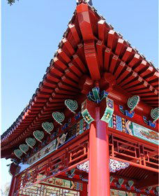 Chang Lai Yuan Chinese Gardens - Tourism Townsville 0