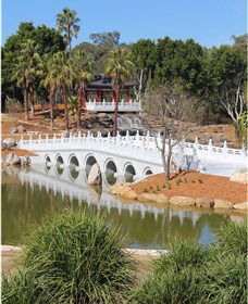 Chang Lai Yuan Chinese Gardens - Tourism Townsville 1