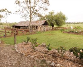 Camden Town Farm - Tourism Townsville 0