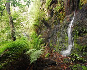 Fairy Bower Falls - Tourism Townsville 2