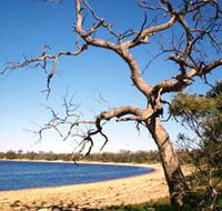 Lake Indoon - Tourism Townsville