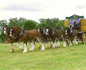 Belgenny Farm - Tourism Townsville 2