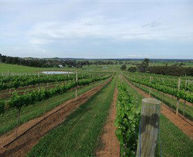Razorback Ridge Wines - Tourism Townsville 1
