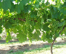 Razorback Ridge Wines - Tourism Townsville 2