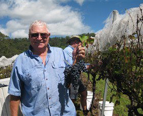 Razorback Ridge Wines - Tourism Townsville 8