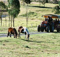 Calmsley Hill City Farm - Tourism Townsville
