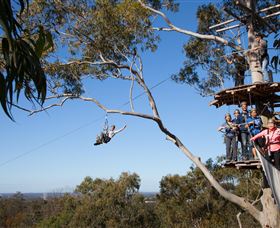 TreeTop Safari - Tourism Townsville 0