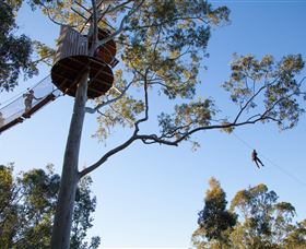 TreeTop Safari - Tourism Townsville 3