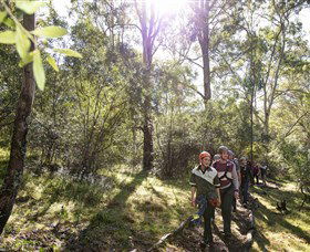 TreeTop Safari - Tourism Townsville 4