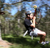 TreeTop Adventure Park Sydney - Tourism Townsville
