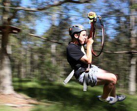 TreeTop Adventure Park Sydney - Tourism Townsville 0