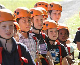 TreeTop Adventure Park Sydney - Tourism Townsville 2