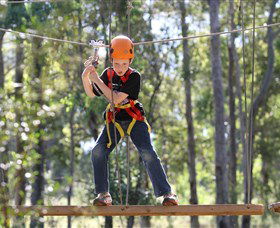 TreeTop Adventure Park Sydney - Tourism Townsville 1
