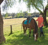 Sugarloaf Horse Centre - Tourism Townsville