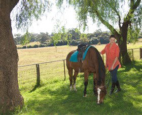 Sugarloaf Horse Centre - Tourism Townsville 0