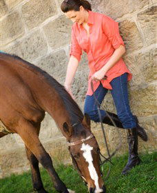Sugarloaf Horse Centre - Tourism Townsville 2