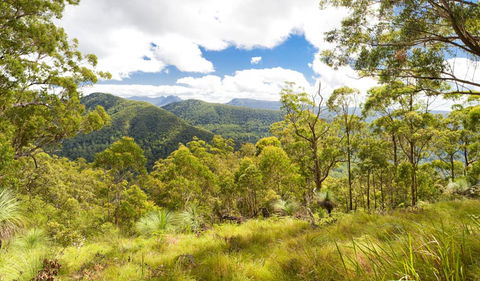 Sherwood Lookout - Tourism Townsville 0