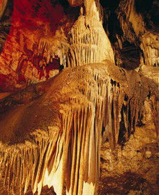 Buchan Caves Reserve - Tourism Townsville 0