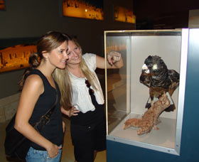 Pinnacles Desert Discovery Centre - Tourism Townsville 2