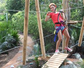 Urban Jungle Adventure Park - Tourism Townsville 0