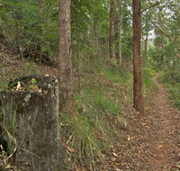 Border loop walk - Tourism Townsville