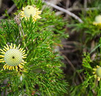 Illawarra lookout walking track - Tourism Townsville