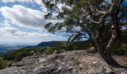 Illawarra Lookout Walking Track - Tourism Townsville 2