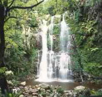 Budderoo National Park - The Falls Walk - Tourism Townsville